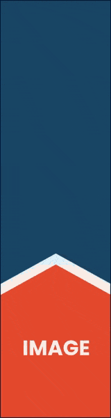 Carolinas GIF SPECS Template-160x600-px