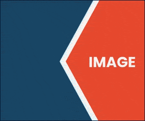 Carolinas GIF SPECS Template-300x250-px