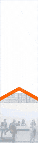 Carolinas GIF Template-160x600-px